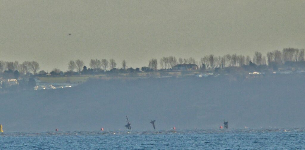 Vzdálený pohled na tři stožáry vraku SS Richard Montgomery nad hladinou, s výstražnými bójemi a pobřežím Isle of Grain v pozadí