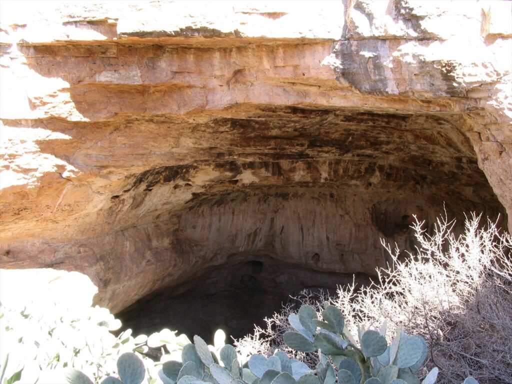Vstup do Carlsbad Caverns pod skalní stěnou s kaktusy a keři v popředí
